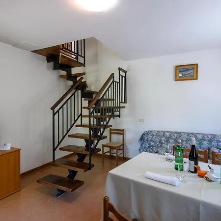 Lovely In Apartment